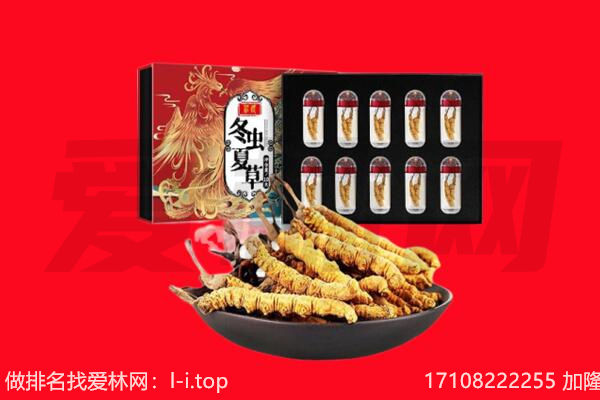 尚义县回收虫草.jpg